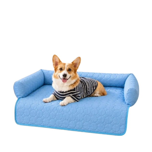 Pawlax